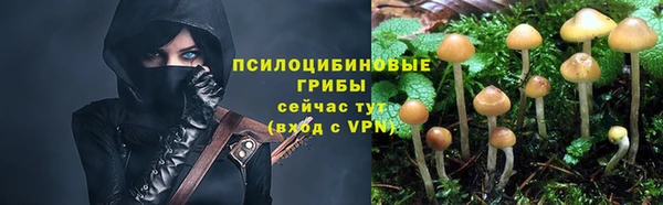 сатива Лиски