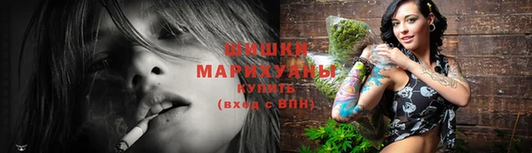 дмт Ладушкин