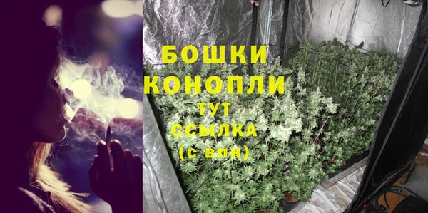 прущие крисы Лабытнанги