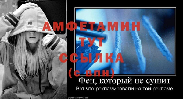 дмт Ладушкин