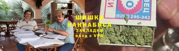 дмт Ладушкин