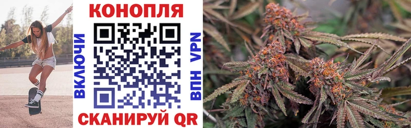 Купить  Кстово  Бошки Шишки SATIVA & INDICA 